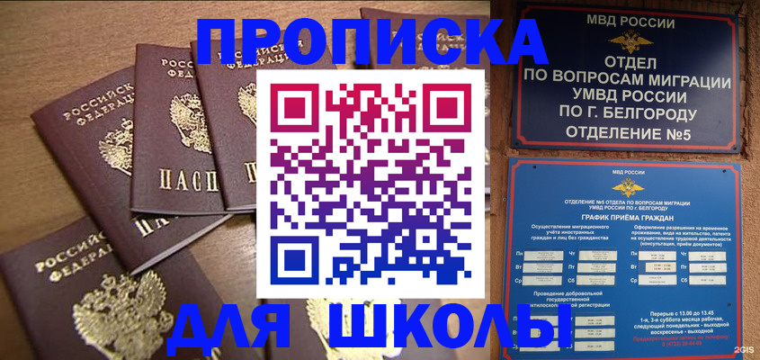 прописка гарантия в Зернограде